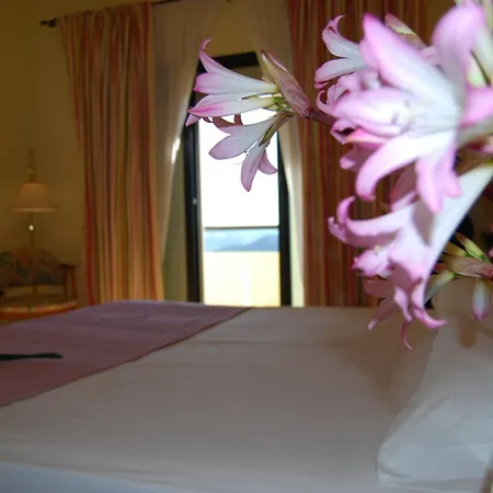 Templarios 3* ヘレス・デ・ロス・カバジェロス