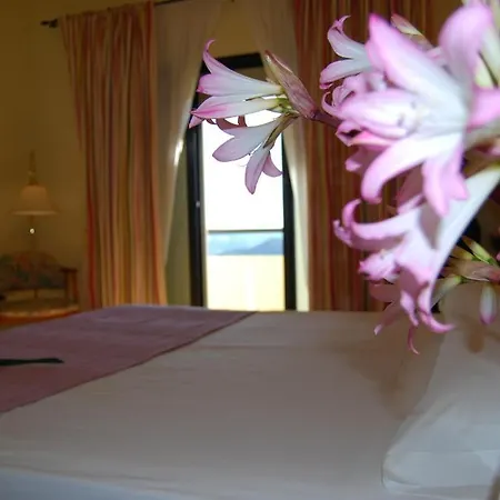 Templarios Jerez De Los Caballeros